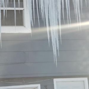 Meet your Posher, Ronnie